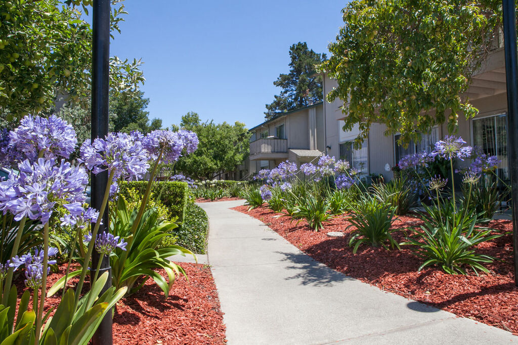 Campbell West Apartments photo 2